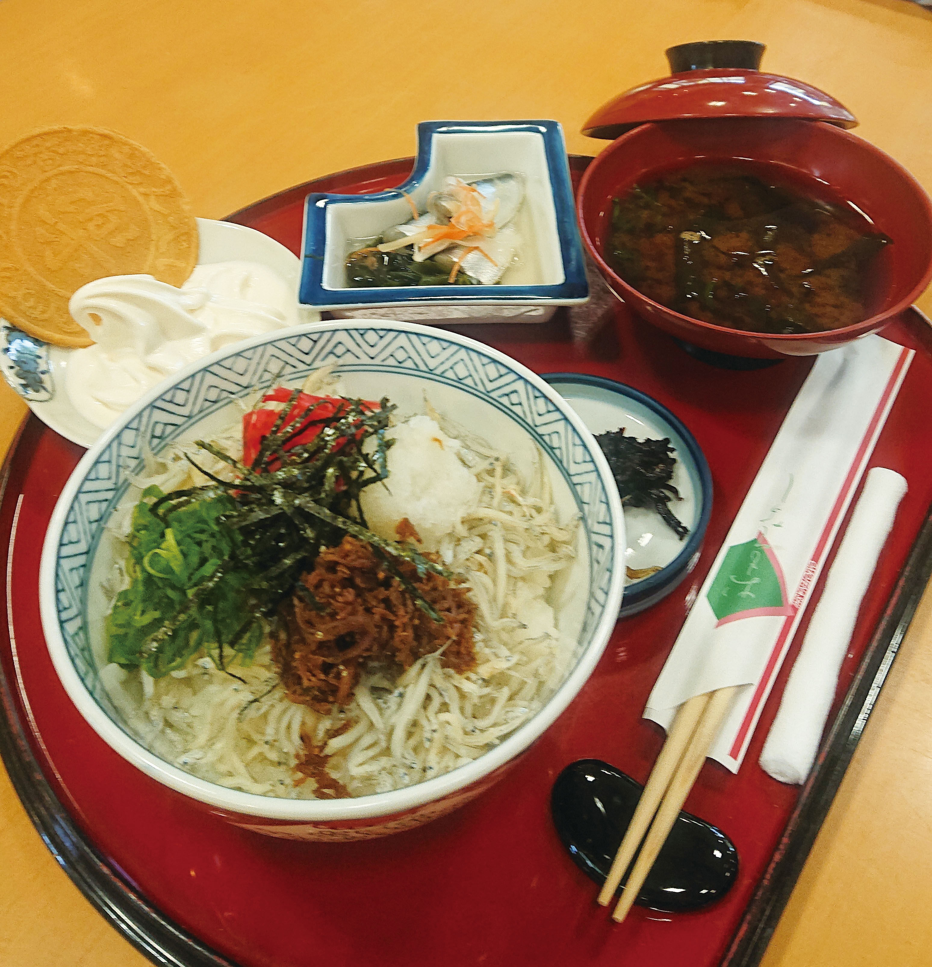 【6/7-8/31】南知多観光協会推奨!つくだ煮街道で南知多町産しらす丼の昼食とつくだ煮作りの体験&南知多ビーチランドで遊ぼう!
